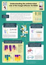 Understanding the antimicrobial role of the fungal effector AvrStb6.