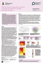 Effector proteins required for virulence of *Neonectria ditissima*, a fungal pathogen of apple.