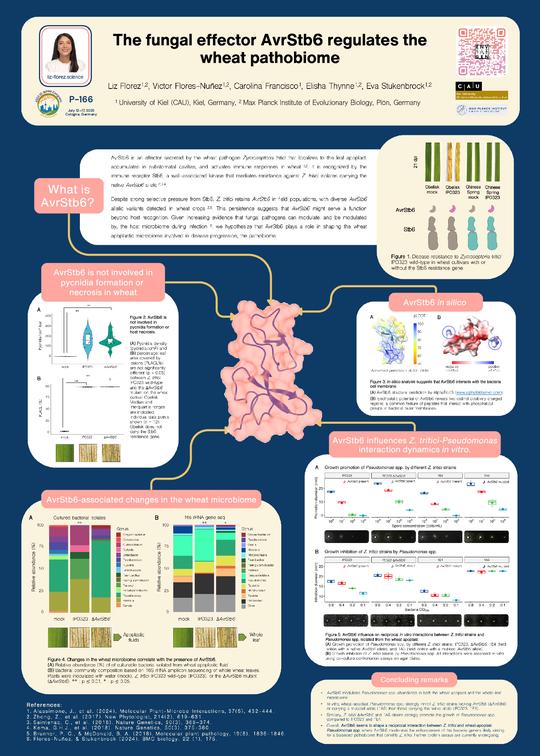 The fungal effector AvrStb6 regulates the wheat pathobiome.